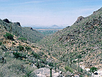 Bear Canyon Trail