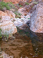 Reflecting pool