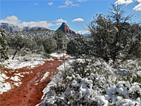 Snowy path