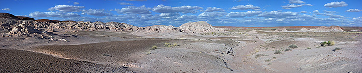 Petrified Forest National Park