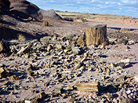 Eroding petrified wood