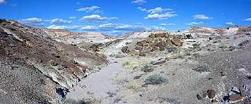 Petrified Forest National Park