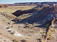 Petrified Forest National Park