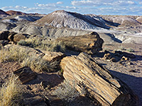 Logs and badlands