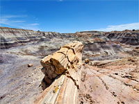 Petrified wood and badlands