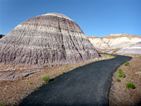 Path and mound