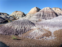 Purple badlands