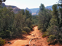 Near the trailhead