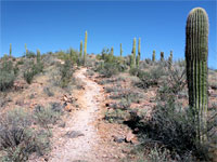 Ridgeline path