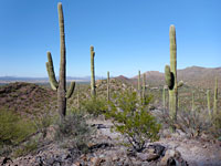 The view northwest