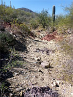 Dry creekbed