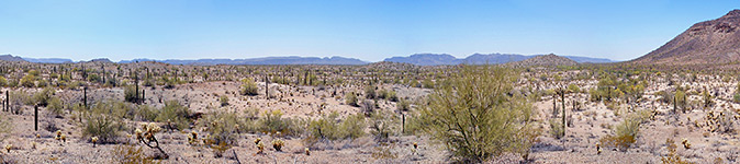 Sandy flats, Cabeza Prieta National Wildlife Refuge