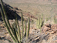 Rocky hillside