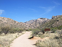 Canyon Loop Trail