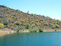 Cactus-covered hillside