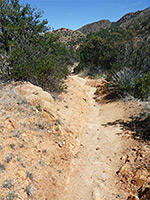 Sandy trail