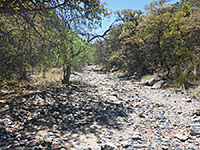 Dry streambed