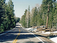 Snow on the Coronado Trail