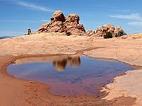 Reflections in a pool