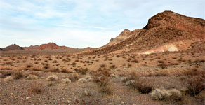 Desert near the road