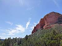 Trees below the butte