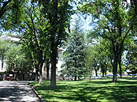 Shady path
