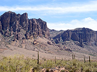 Saguaro beneath the mountains