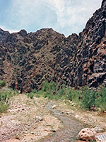 Diamond Creek Canyon