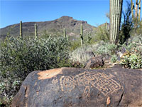 Petroglyphs on a boulder