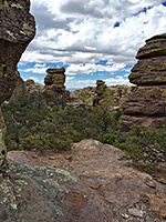 Trees and pinnacles