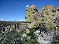 Lichen on rocks