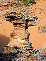 Wavy hoodoo