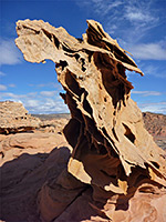 Sculptured rock