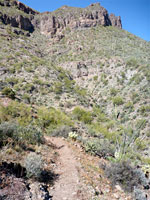 Elephant Mountain Trail