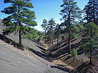 Ravine through black ash