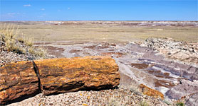 Brightly-colored log