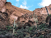 Cliffs with saguaro