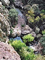 Pools, rocks and bushes