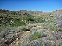 Hills above Fall Canyon