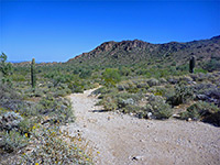 Path along Ford Canyon