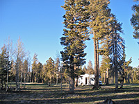 National Forest camping