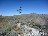 Ridge on the return trail