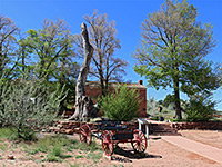 Trees around the fort