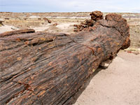 Reddish-brown log