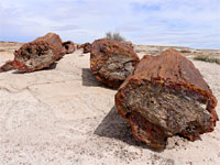 Group of big logs
