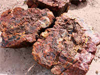 Yellowish-red logs