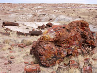 Large and small logs