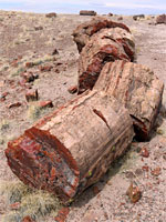 Smooth-sided logs