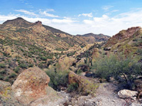 Goldfield Mountains