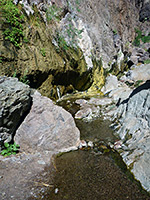 Pools along the creek